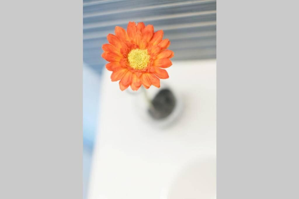 טורדמבארה Apartamento Diseno A Cien Metros Del Mar. מראה חיצוני תמונה